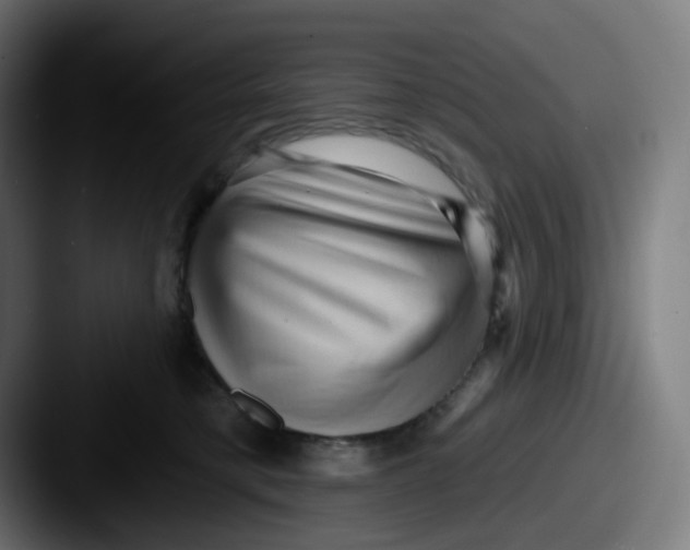 X0000087550421200705181110