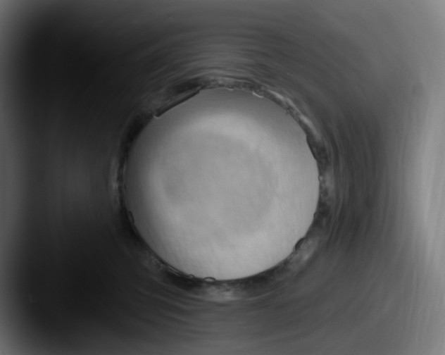 X0000087550423200705181110