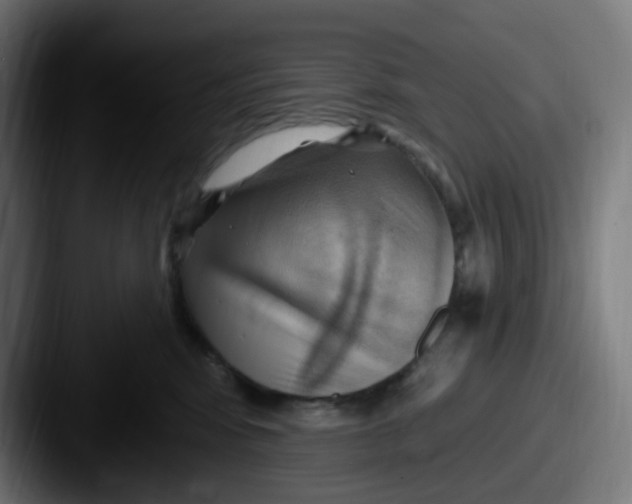 X0000087550424200705181110