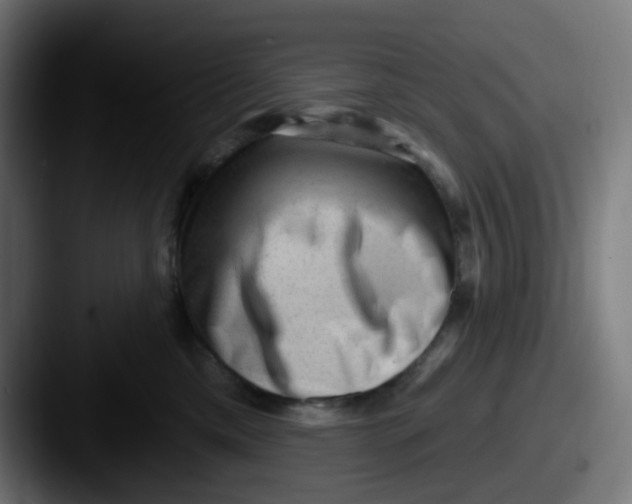 X0000087550425200705181110