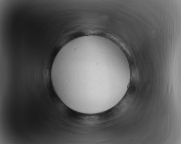 X0000087550426200705181110