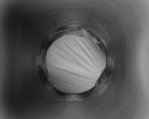 X0000087550428200705181110