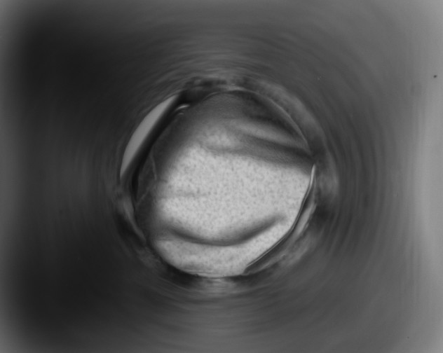 X0000087550429200705181110