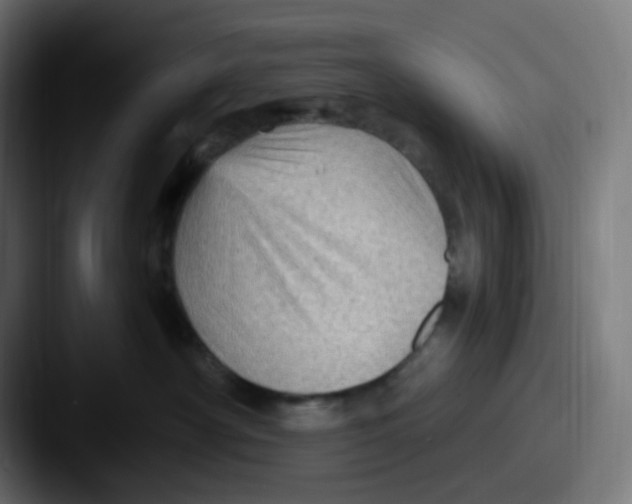 X0000087550430200705181110