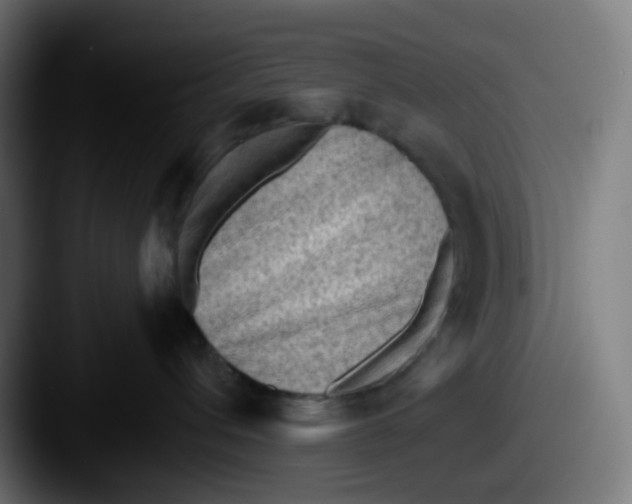 X0000087550432200705181110