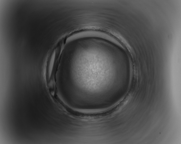 X0000087550434200705181109