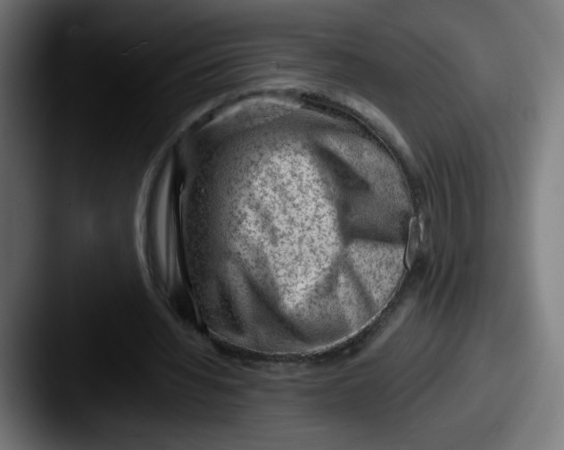 X0000087550436200705181109