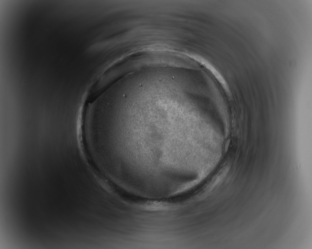 X0000087550437200705181109