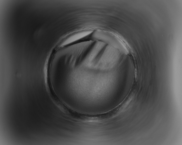 X0000087550438200705181109