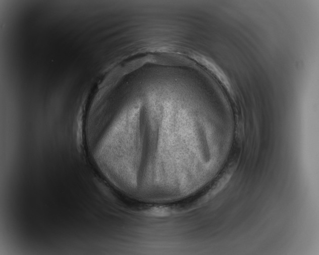 X0000087550441200705181109