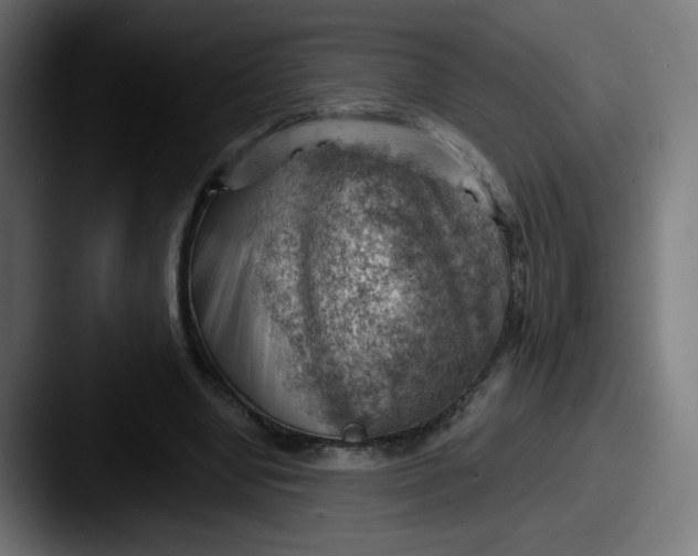 X0000087550442200705181109