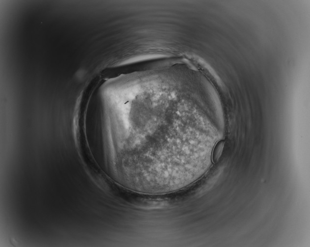 X0000087550443200705181109