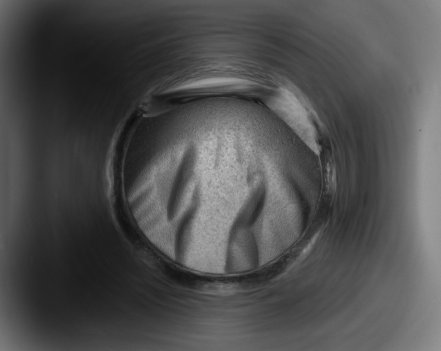 X0000087550444200705181109