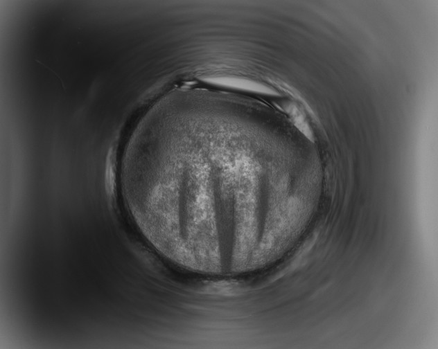 X0000087550446200705181109