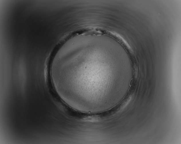 X0000087550447200705181109