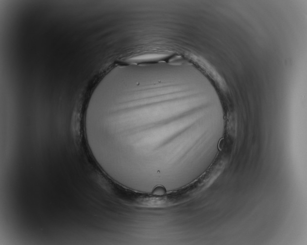 X0000087550449200705181109