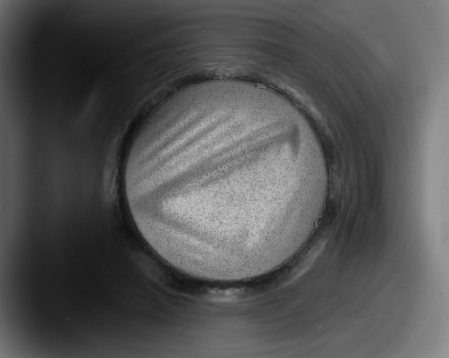 X0000087550450200705181109