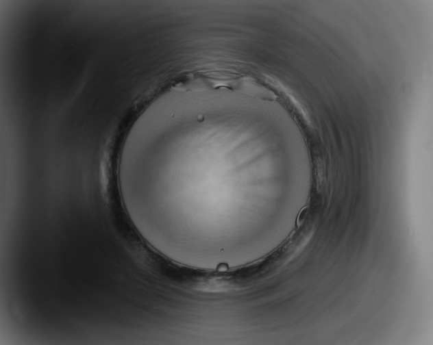 X0000087550451200705181109