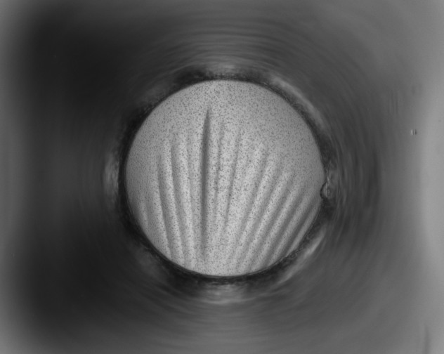 X0000087550454200705181109