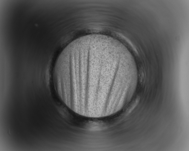 X0000087550455200705181109