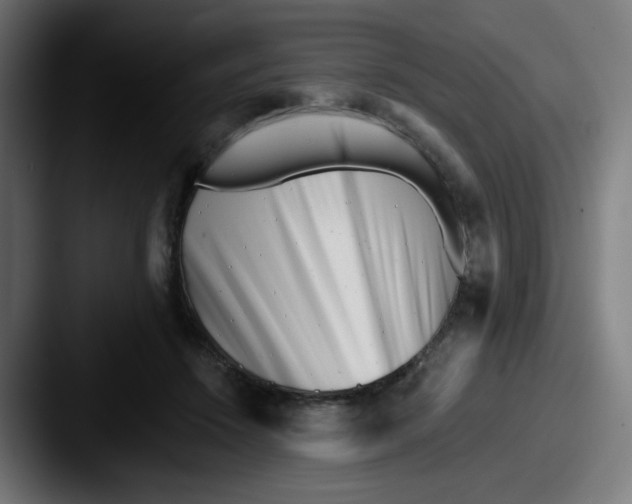 X0000087550456200705181109