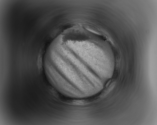 X0000087550457200705181109