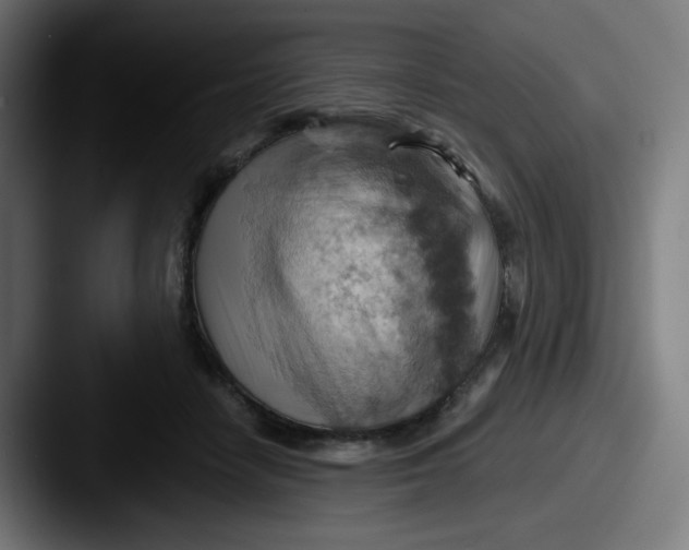 X0000087550458200705181109