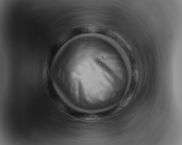 X0000087550459200705181109