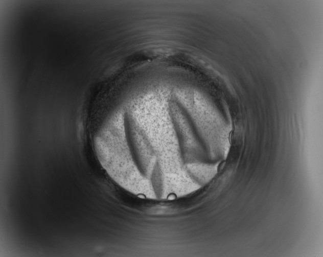 X0000087550460200705181109