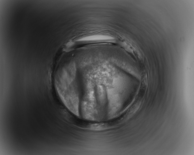 X0000087550461200705181109