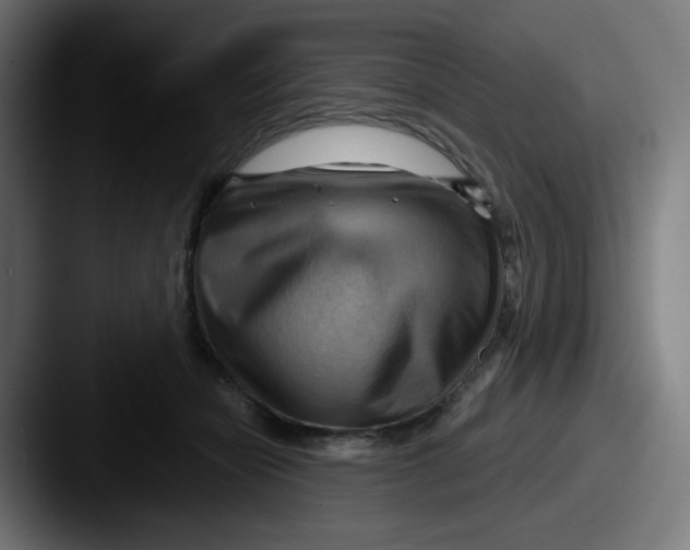 X0000087550462200705181109