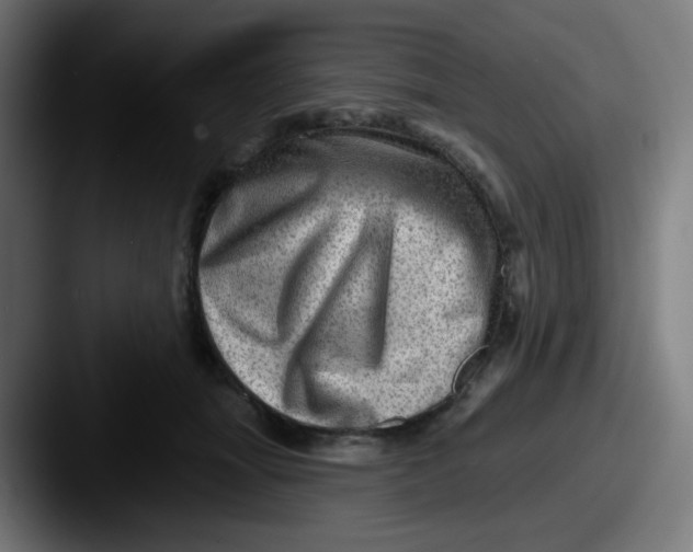 X0000087550463200705181109