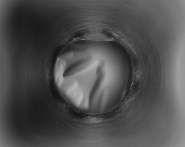 X0000087550464200705181109