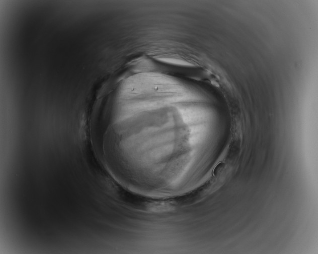 X0000087550465200705181109