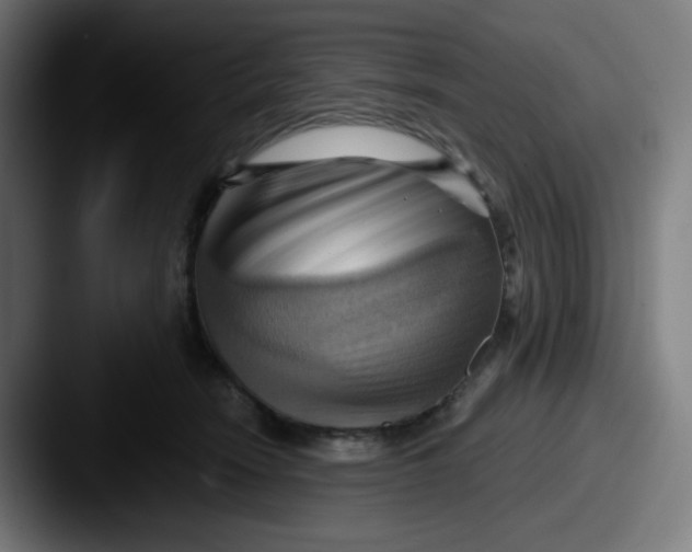 X0000087550466200705181109