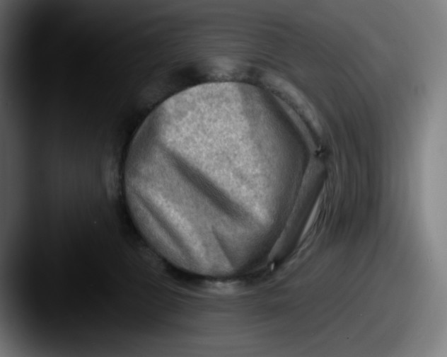 X0000087550469200705181110