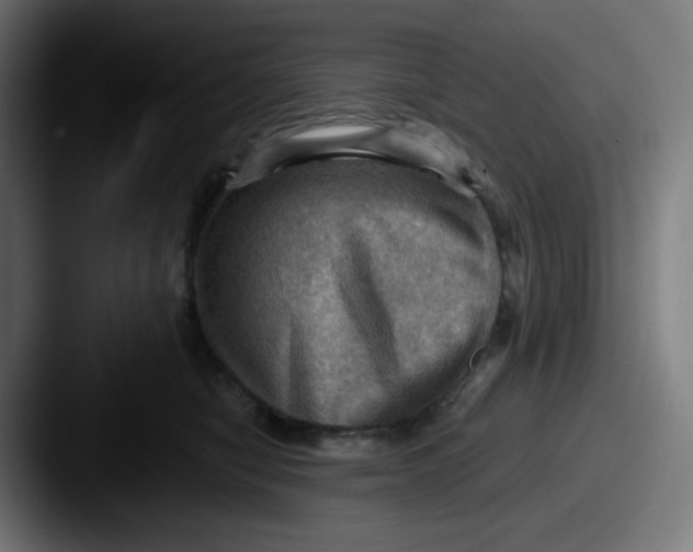 X0000087550470200705181110