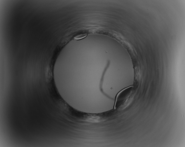 X0000087550471200705181110