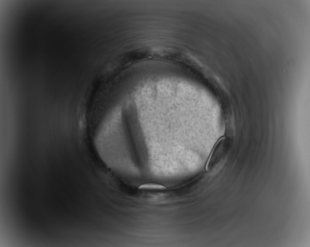 X0000087550472200705181110