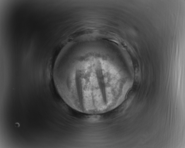 X0000087550474200705181110