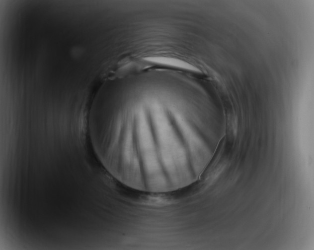 X0000087550475200705181110