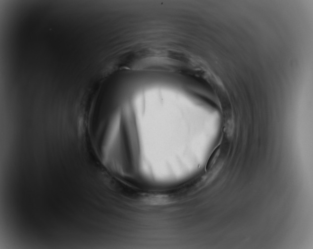 X0000087550476200705181110