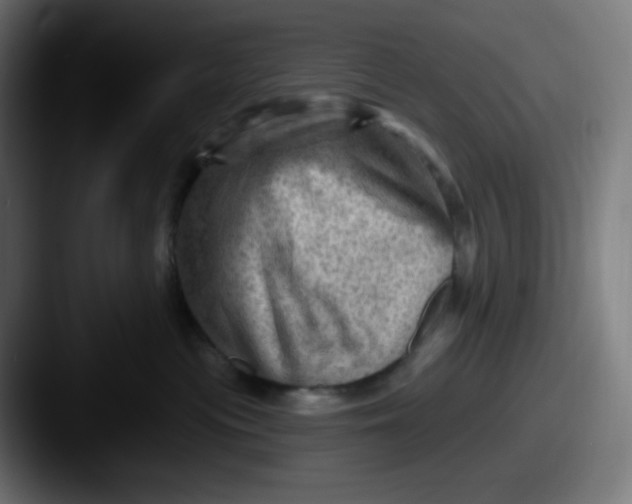 X0000087550477200705181110