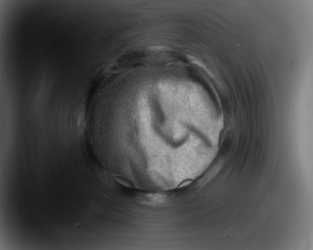 X0000087550478200705181110