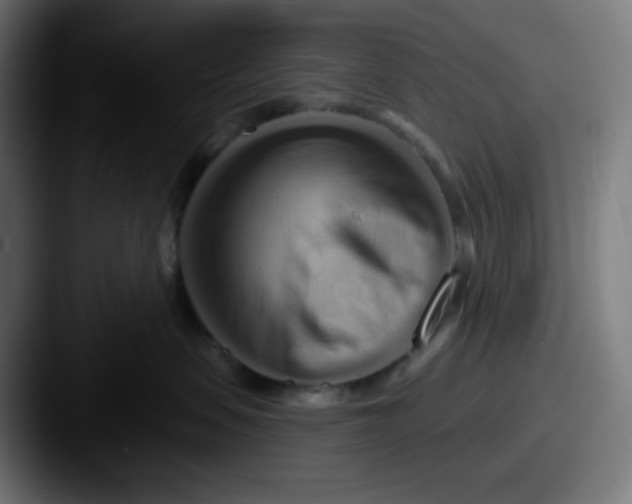 X0000087550479200705181110