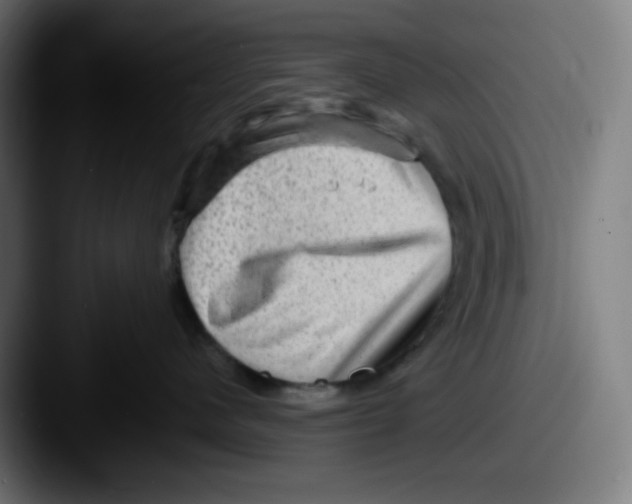 X0000087550480200705181110