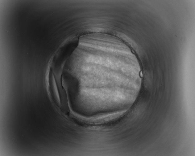 X0000087550482200705181109