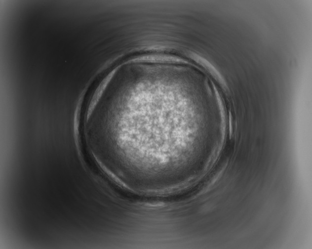 X0000087550483200705181109