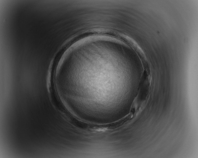 X0000087550484200705181109