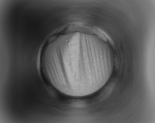 X0000087550486200705181109